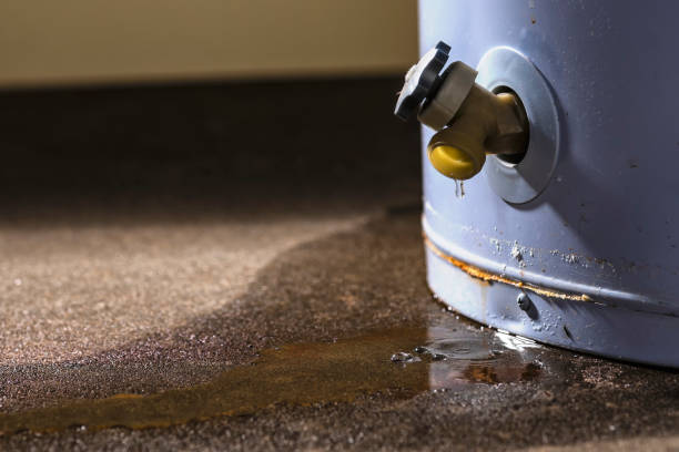 Best Carpet water damage restoration  in Sea Isle City, NJ