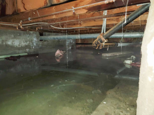 Best Sewage cleanup and water damage restoration  in Sea Isle City, NJ