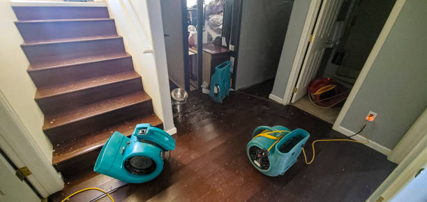 Best 24/7 water damage repair  in Sea Isle City, NJ