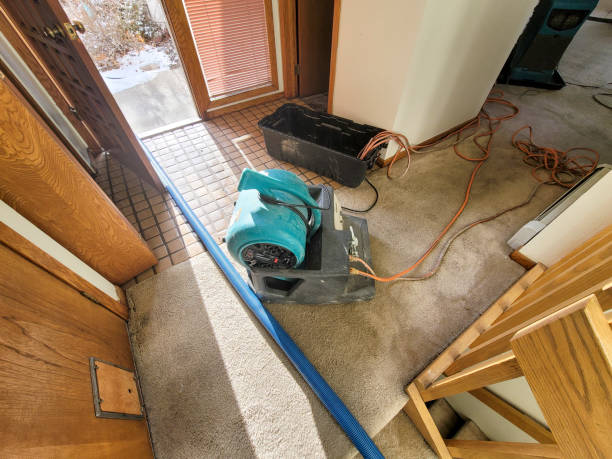 Best Sewage cleanup and water damage restoration  in Sea Isle City, NJ