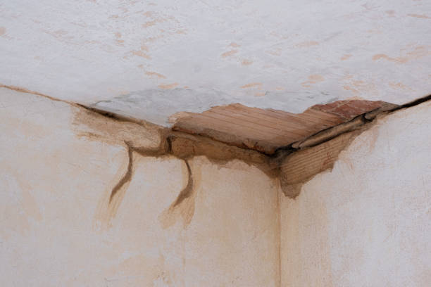 Best Emergency water damage restoration  in Sea Isle City, NJ