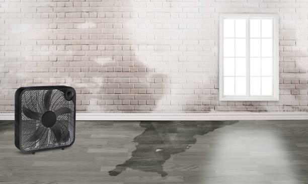 Best Commercial water damage restoration  in Sea Isle City, NJ