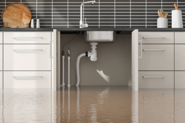 Best Flood restoration services  in Sea Isle City, NJ
