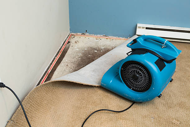 Best Water damage restoration cost  in Sea Isle City, NJ